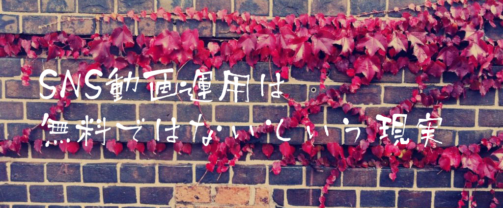 SNS動画運用は無料ではないという現実